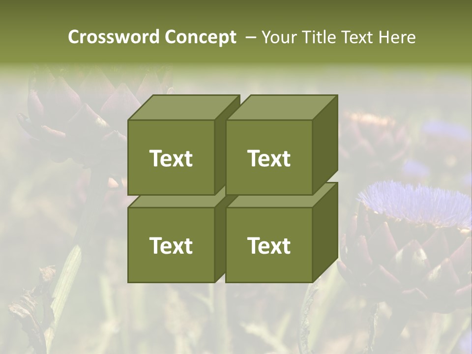 A Field Of Bloomed Artichokes PowerPoint Template