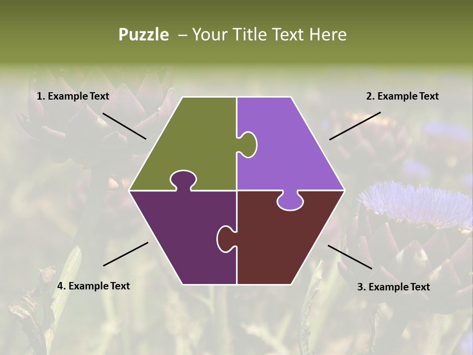 A Field Of Bloomed Artichokes PowerPoint Template