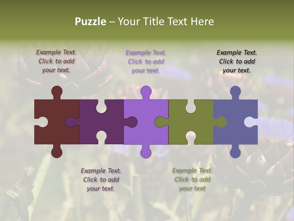 A Field Of Bloomed Artichokes PowerPoint Template