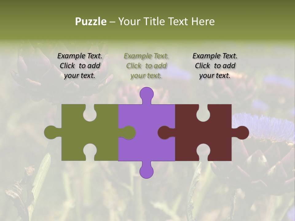 A Field Of Bloomed Artichokes PowerPoint Template