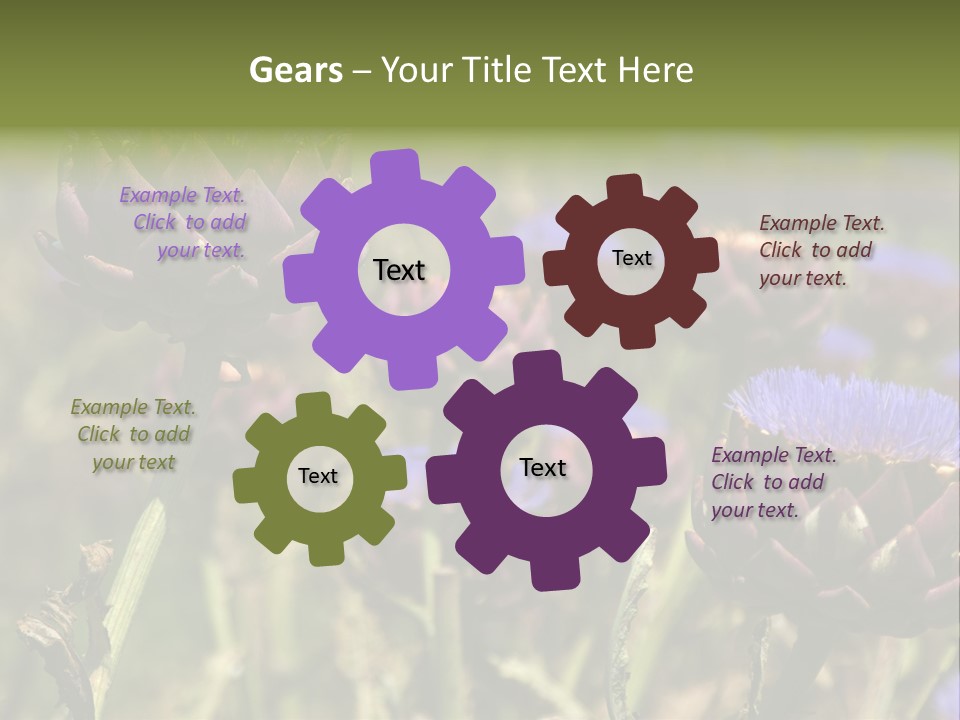 A Field Of Bloomed Artichokes PowerPoint Template