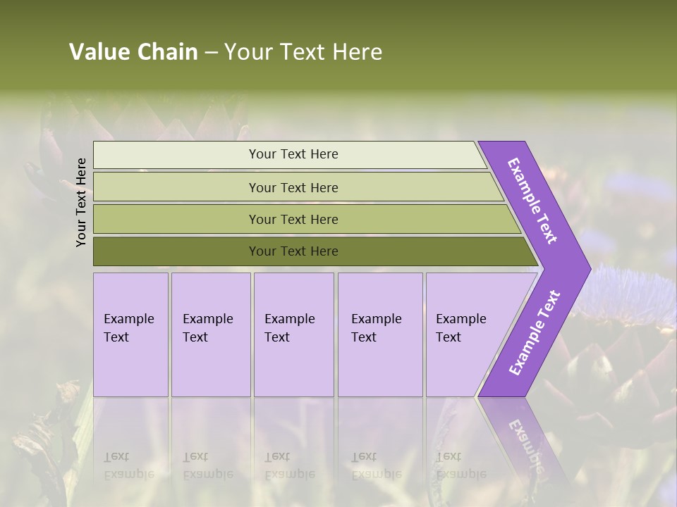 A Field Of Bloomed Artichokes PowerPoint Template