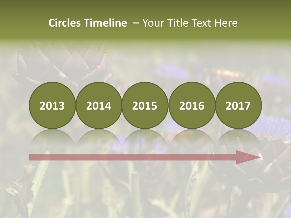 A Field Of Bloomed Artichokes PowerPoint Template