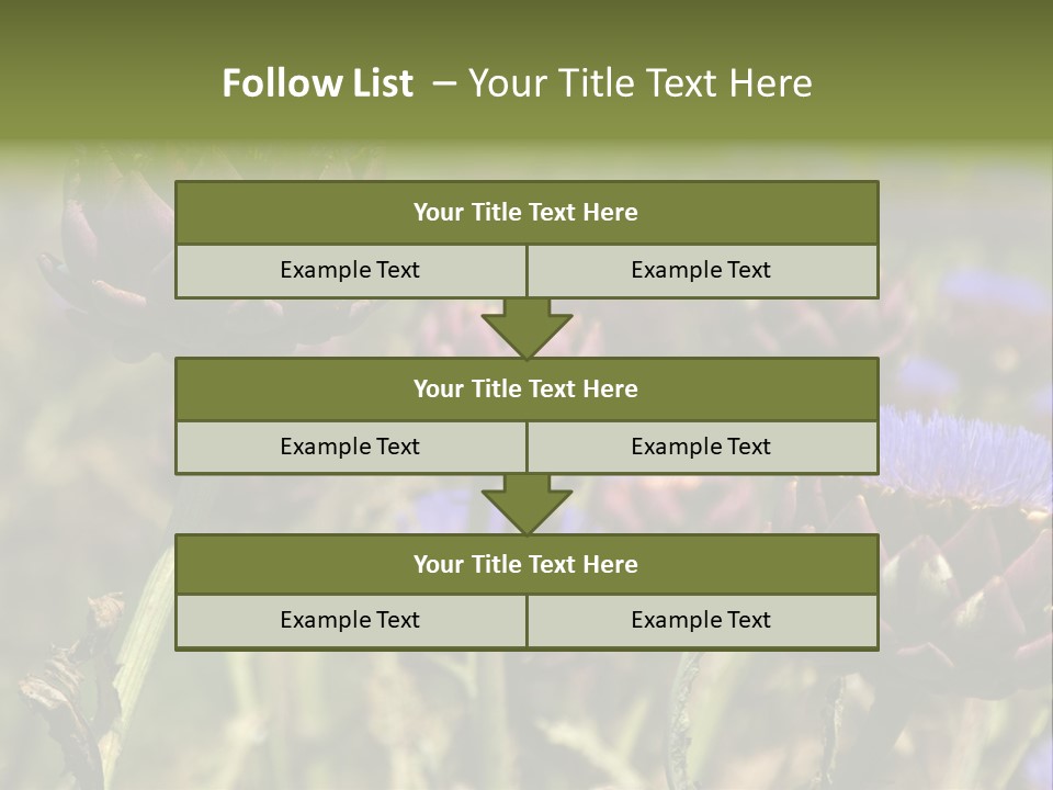 A Field Of Bloomed Artichokes PowerPoint Template