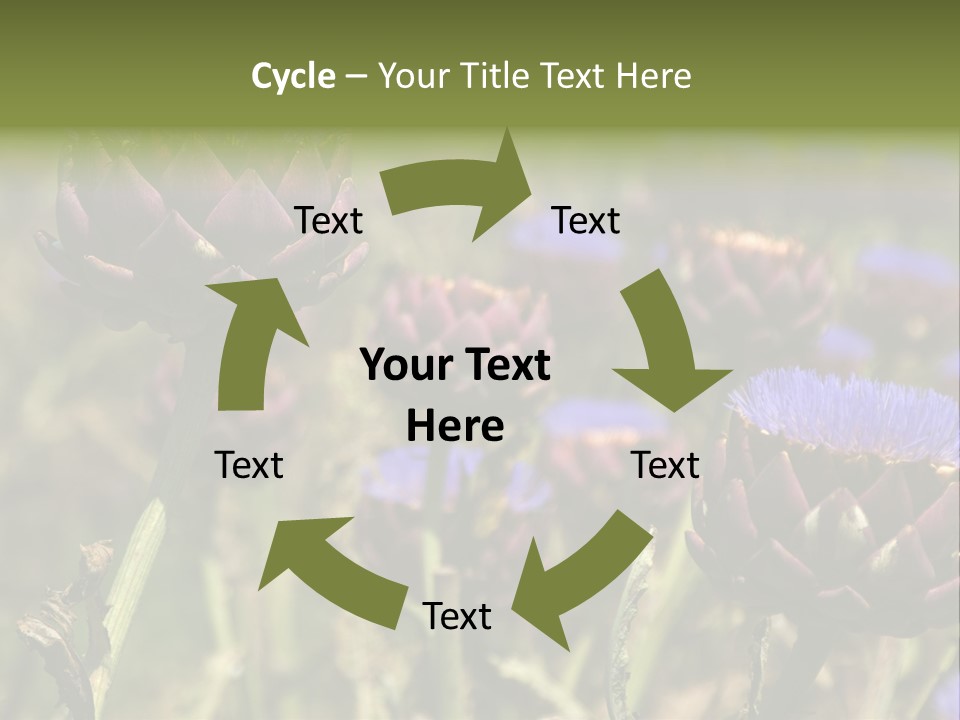 A Field Of Bloomed Artichokes PowerPoint Template
