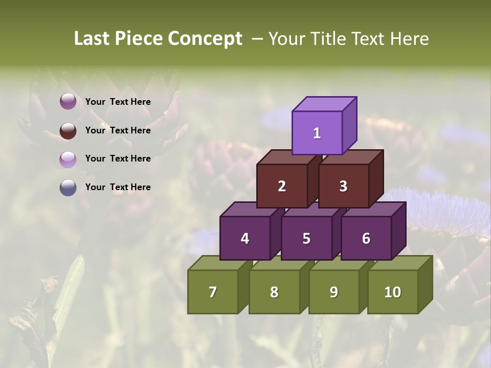 A Field Of Bloomed Artichokes PowerPoint Template