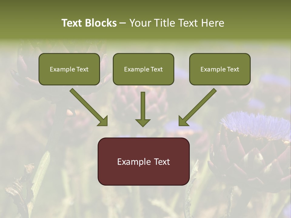 A Field Of Bloomed Artichokes PowerPoint Template