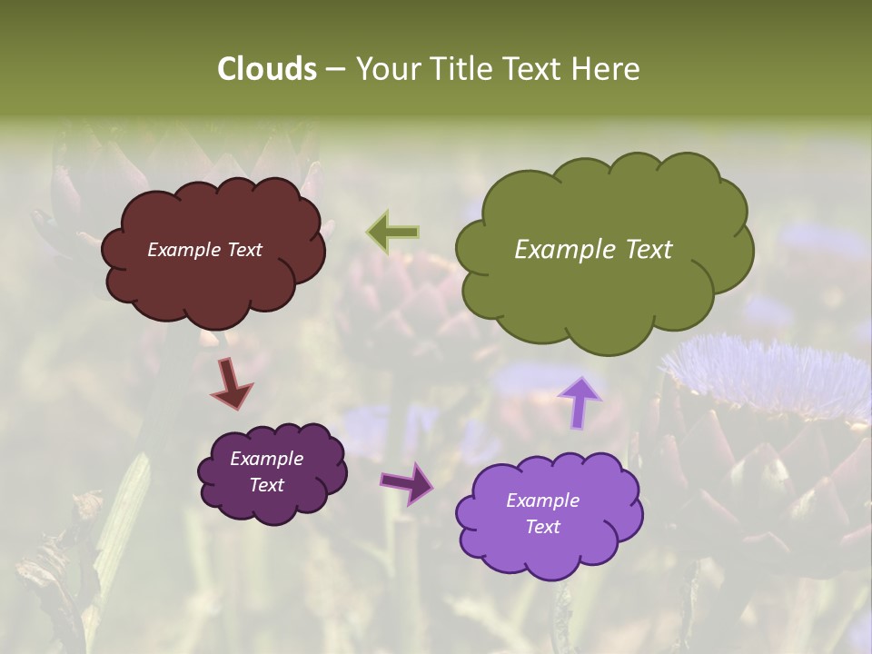 A Field Of Bloomed Artichokes PowerPoint Template
