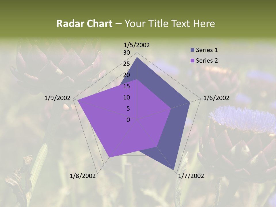A Field Of Bloomed Artichokes PowerPoint Template