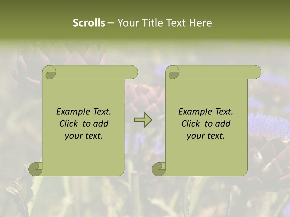 A Field Of Bloomed Artichokes PowerPoint Template