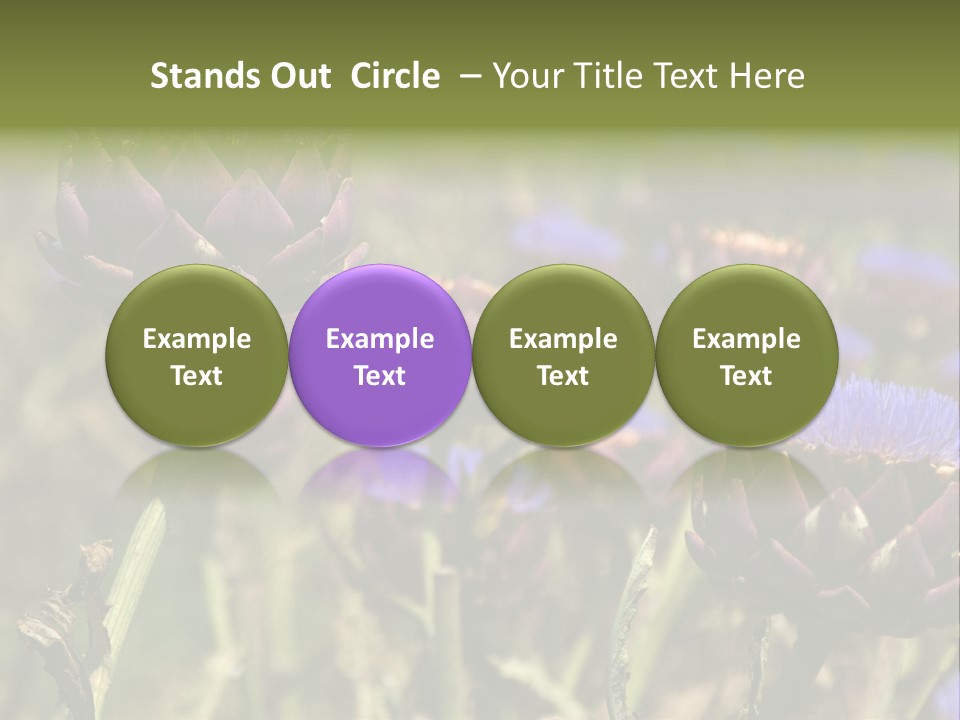 A Field Of Bloomed Artichokes PowerPoint Template