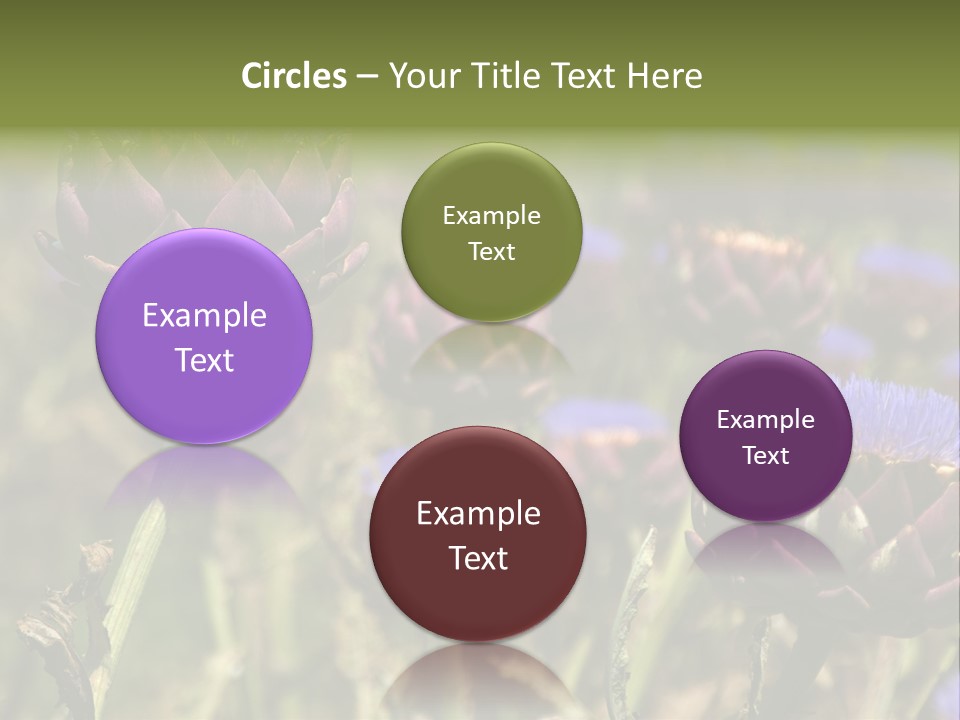 A Field Of Bloomed Artichokes PowerPoint Template