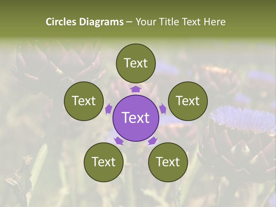 A Field Of Bloomed Artichokes PowerPoint Template