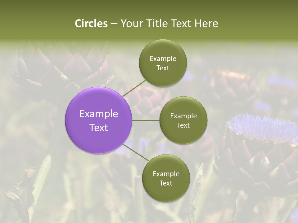 A Field Of Bloomed Artichokes PowerPoint Template