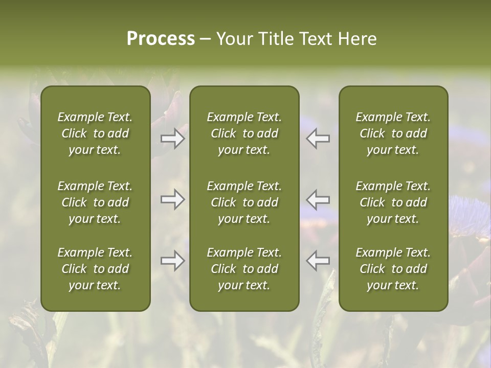 A Field Of Bloomed Artichokes PowerPoint Template
