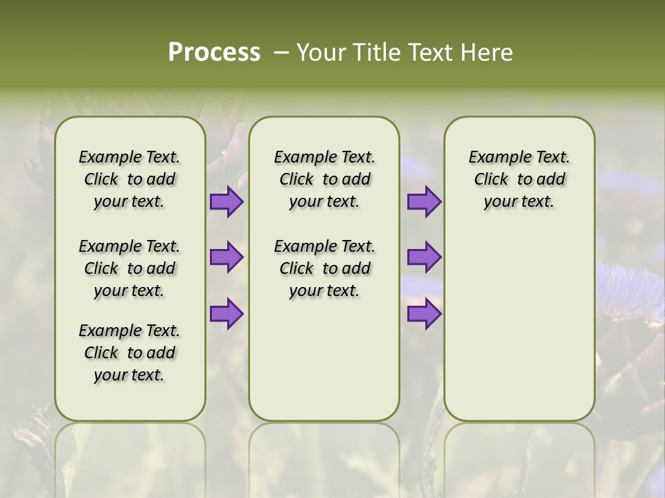 A Field Of Bloomed Artichokes PowerPoint Template