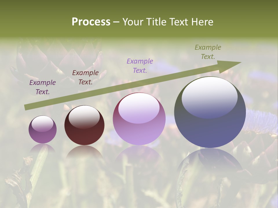 A Field Of Bloomed Artichokes PowerPoint Template