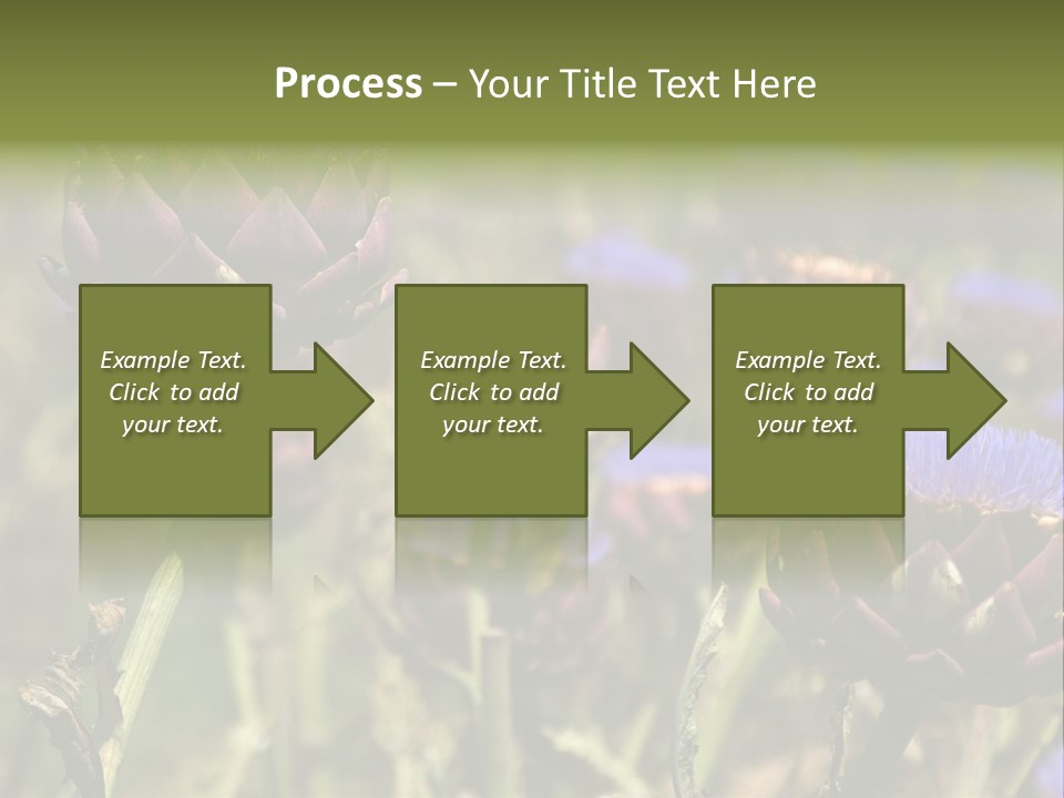 A Field Of Bloomed Artichokes PowerPoint Template