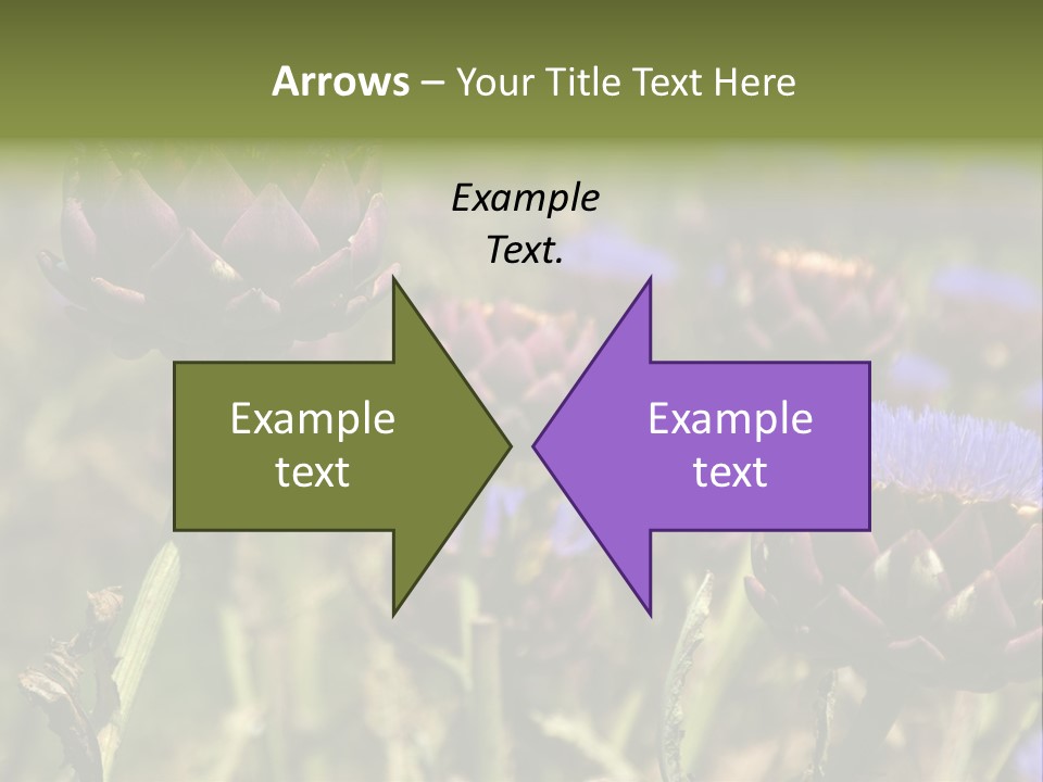 A Field Of Bloomed Artichokes PowerPoint Template