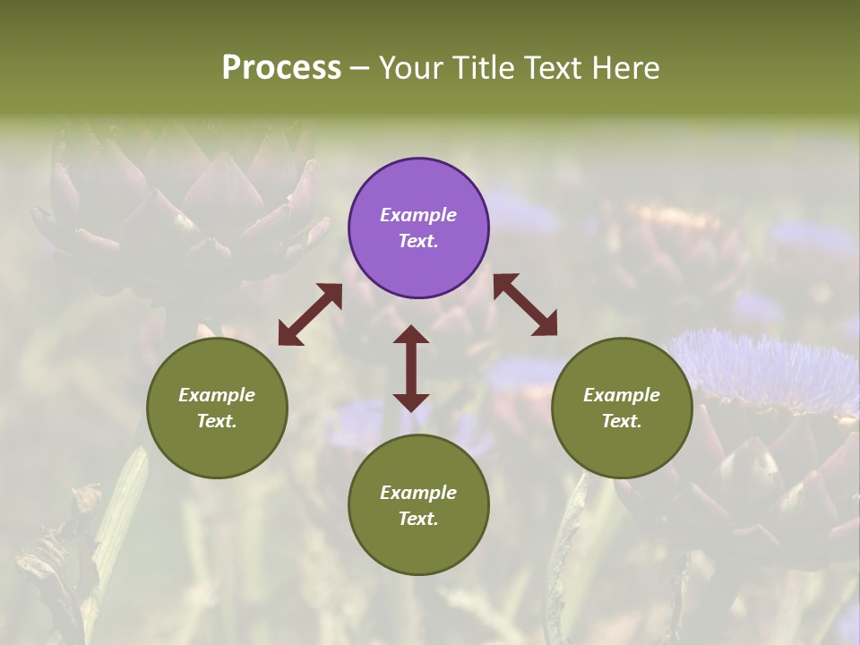 A Field Of Bloomed Artichokes PowerPoint Template