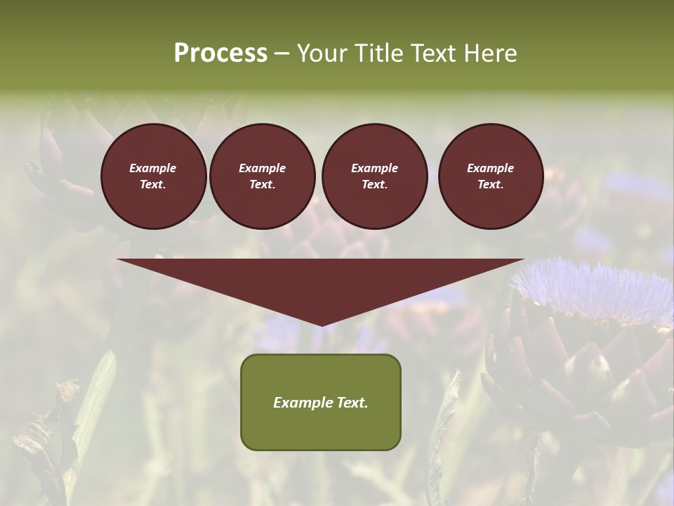 A Field Of Bloomed Artichokes PowerPoint Template