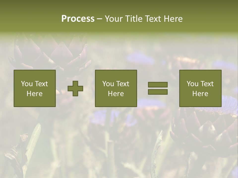 A Field Of Bloomed Artichokes PowerPoint Template