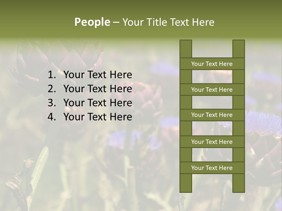 A Field Of Bloomed Artichokes PowerPoint Template