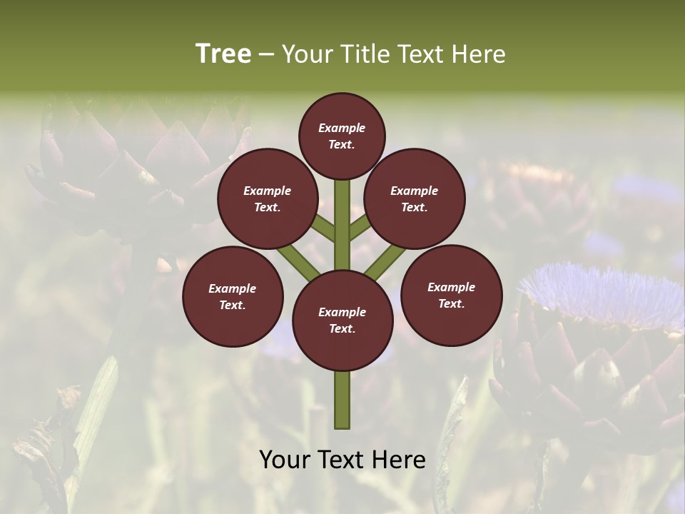 A Field Of Bloomed Artichokes PowerPoint Template