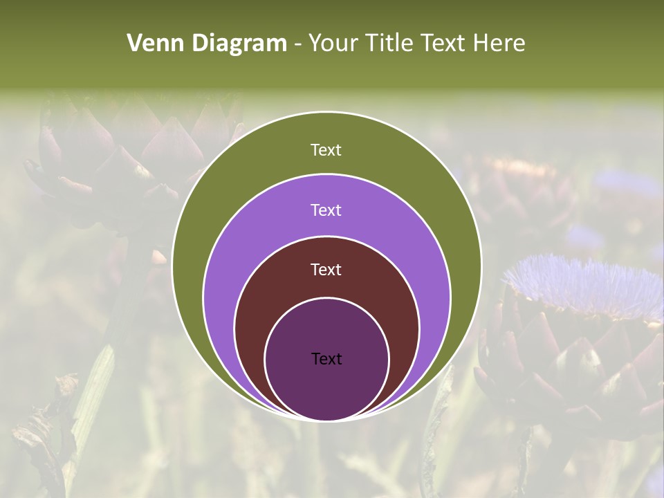 A Field Of Bloomed Artichokes PowerPoint Template
