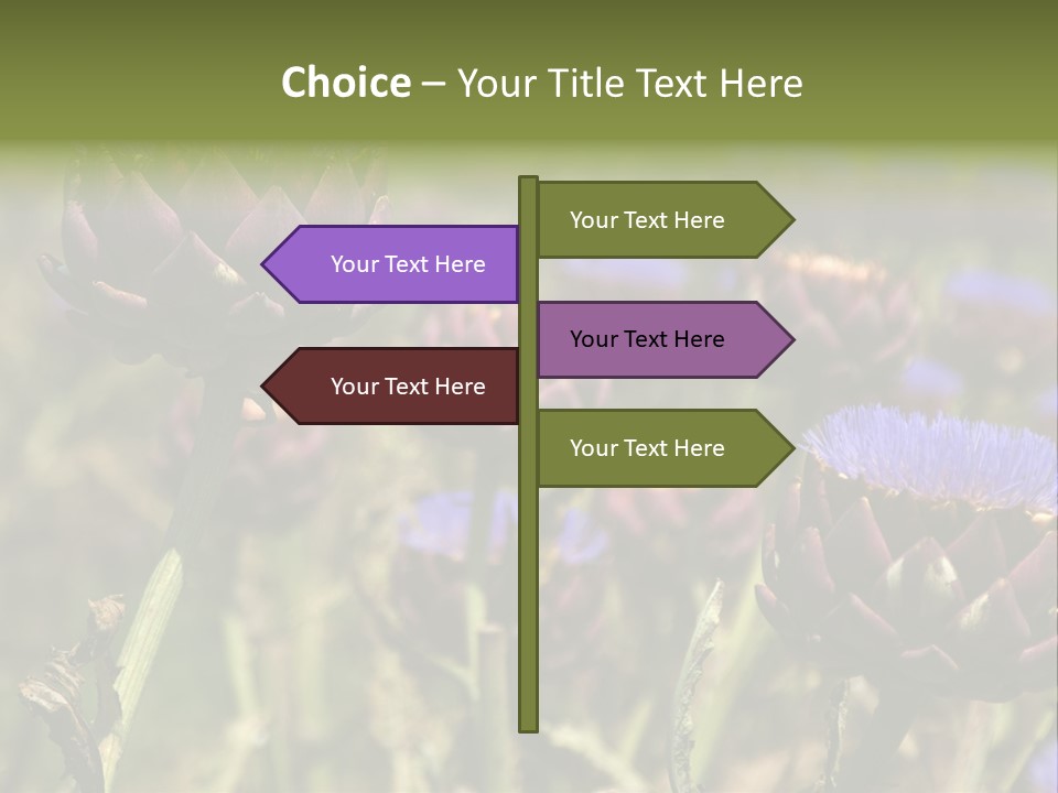 A Field Of Bloomed Artichokes PowerPoint Template