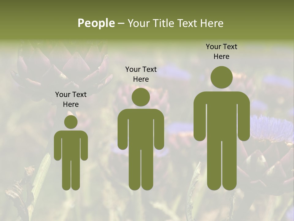 A Field Of Bloomed Artichokes PowerPoint Template