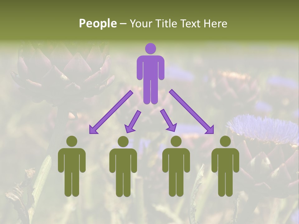 A Field Of Bloomed Artichokes PowerPoint Template