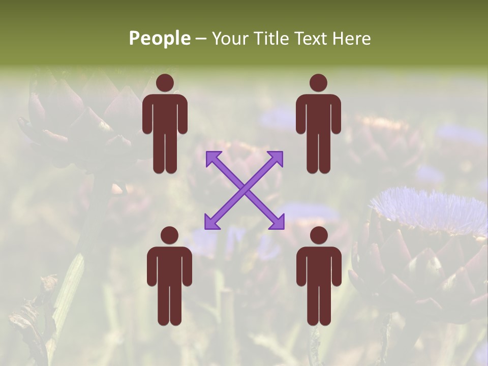 A Field Of Bloomed Artichokes PowerPoint Template