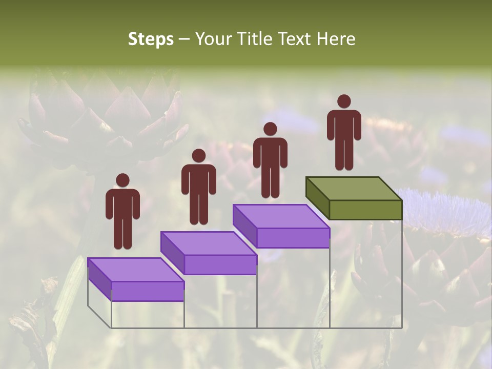 A Field Of Bloomed Artichokes PowerPoint Template