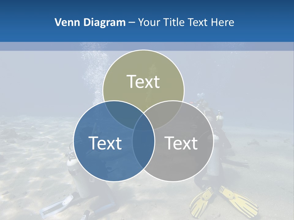 A Group Of People In Scuba Gear In The Water PowerPoint Template