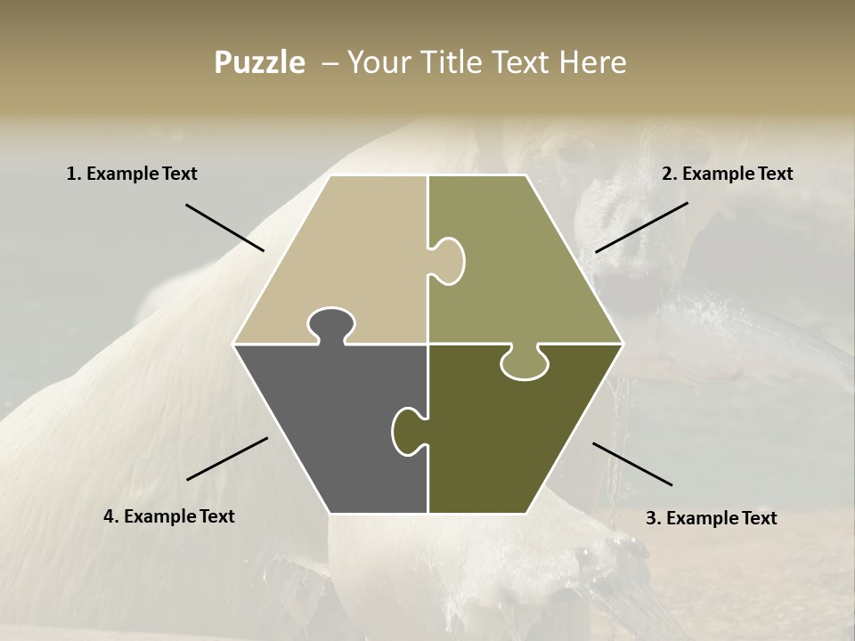 An Adult Female Polar Bear Emerging From The Water With A Fish PowerPoint Template