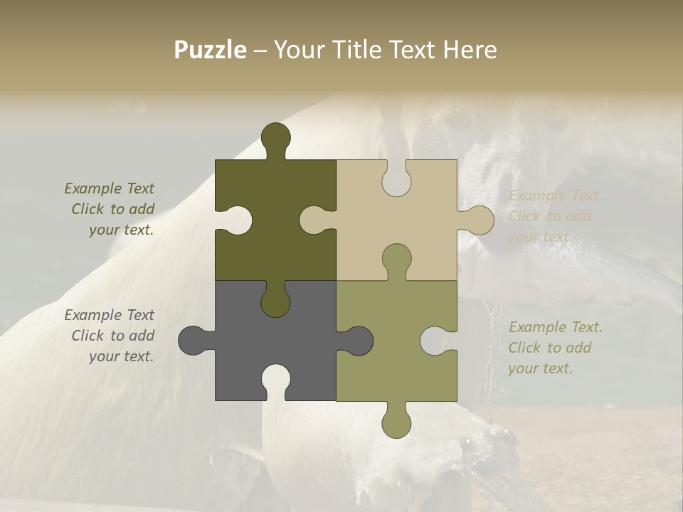 An Adult Female Polar Bear Emerging From The Water With A Fish PowerPoint Template