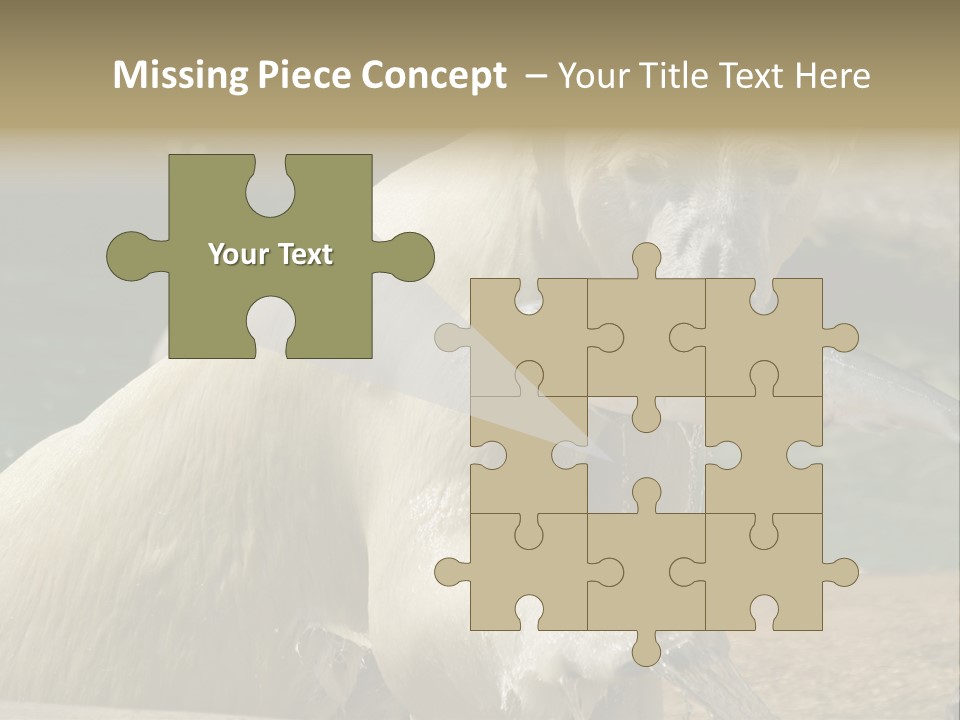 An Adult Female Polar Bear Emerging From The Water With A Fish PowerPoint Template