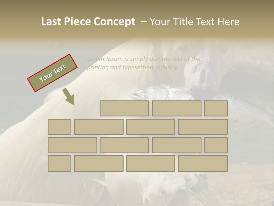 An Adult Female Polar Bear Emerging From The Water With A Fish PowerPoint Template