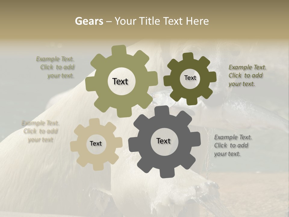 An Adult Female Polar Bear Emerging From The Water With A Fish PowerPoint Template