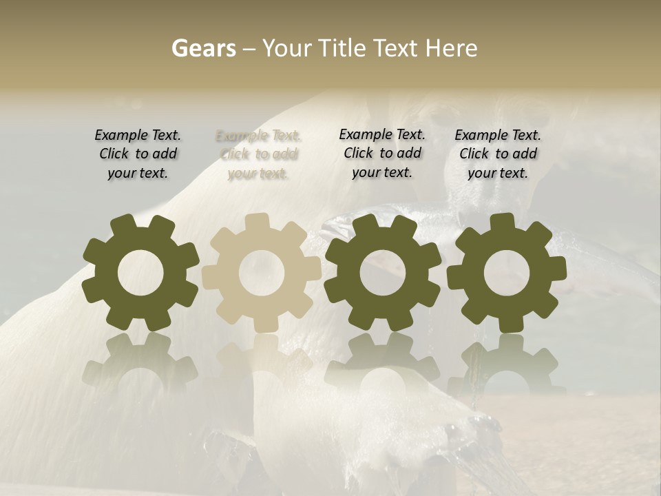 An Adult Female Polar Bear Emerging From The Water With A Fish PowerPoint Template