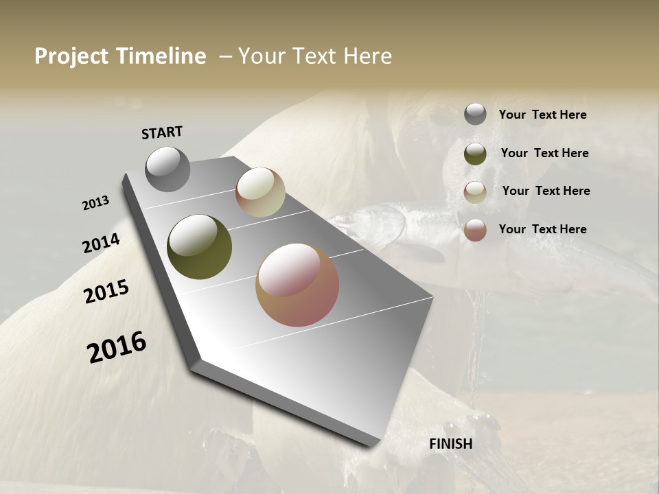 An Adult Female Polar Bear Emerging From The Water With A Fish PowerPoint Template