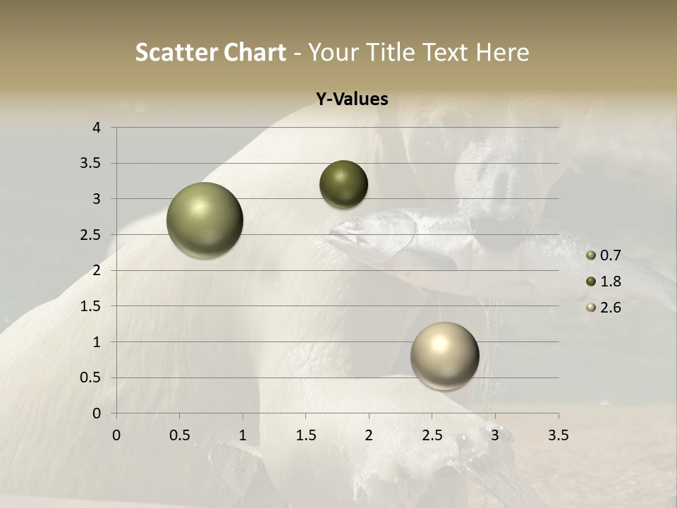An Adult Female Polar Bear Emerging From The Water With A Fish PowerPoint Template