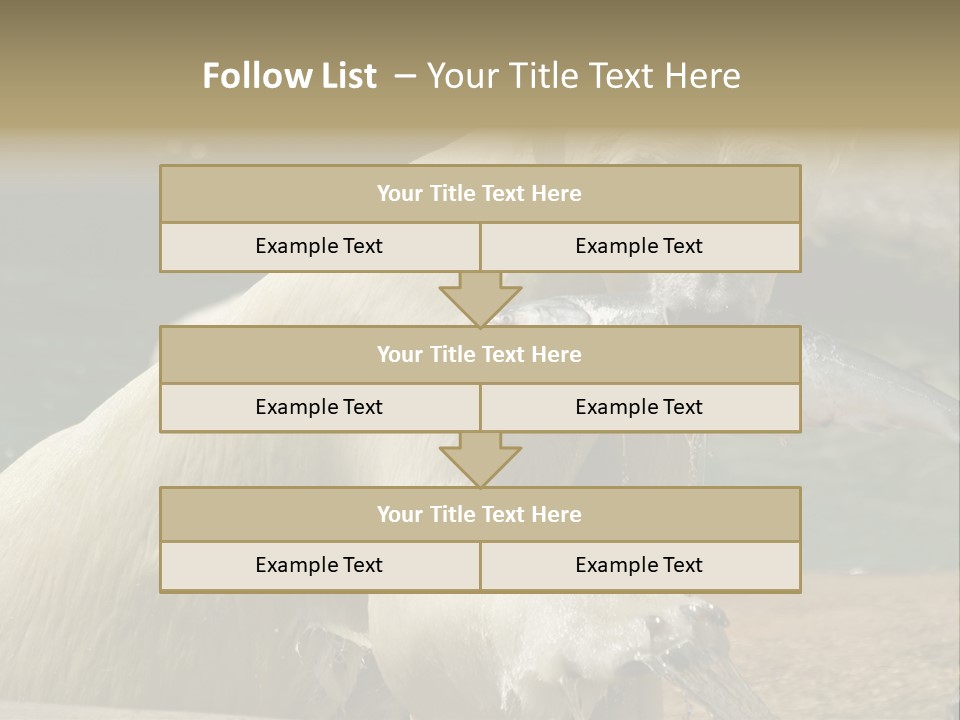 An Adult Female Polar Bear Emerging From The Water With A Fish PowerPoint Template