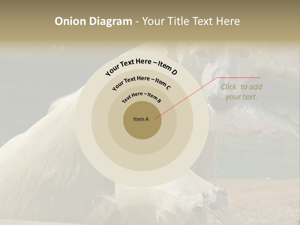 An Adult Female Polar Bear Emerging From The Water With A Fish PowerPoint Template