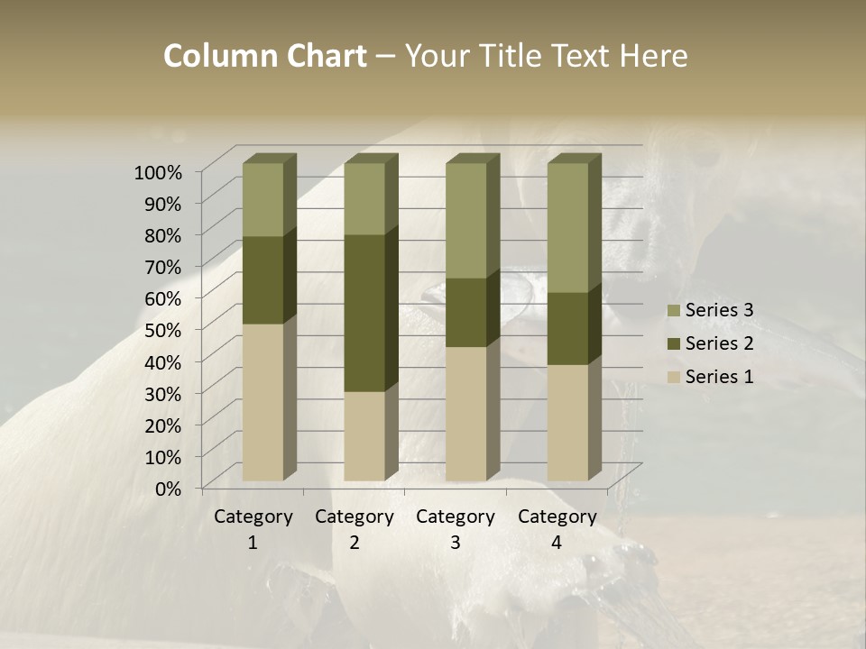 An Adult Female Polar Bear Emerging From The Water With A Fish PowerPoint Template