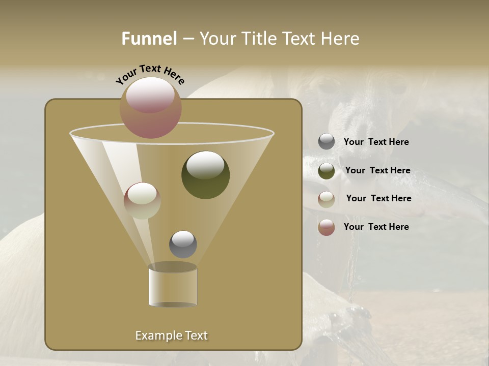 An Adult Female Polar Bear Emerging From The Water With A Fish PowerPoint Template