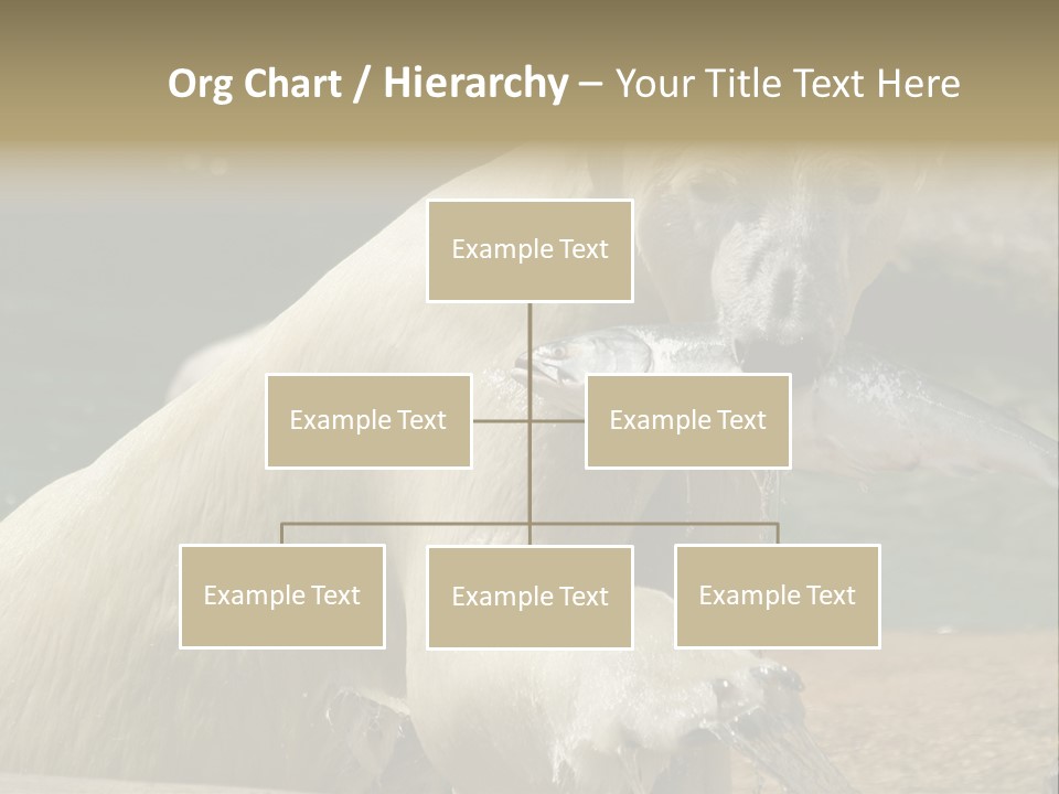 An Adult Female Polar Bear Emerging From The Water With A Fish PowerPoint Template