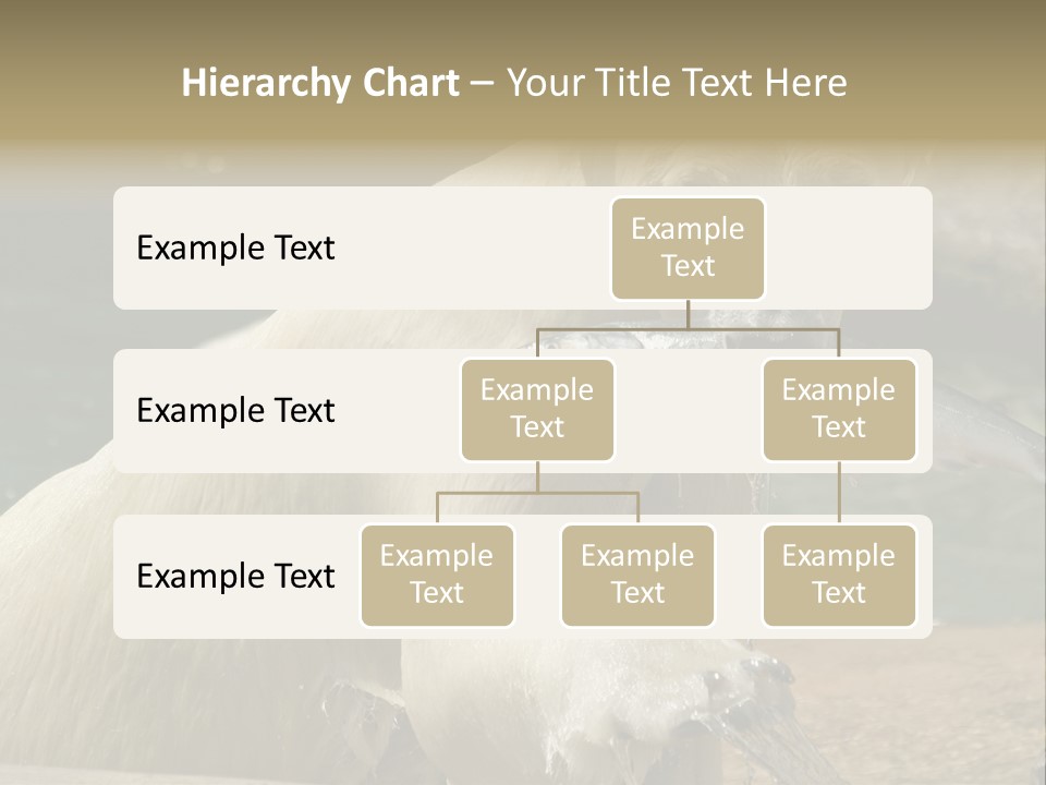 An Adult Female Polar Bear Emerging From The Water With A Fish PowerPoint Template