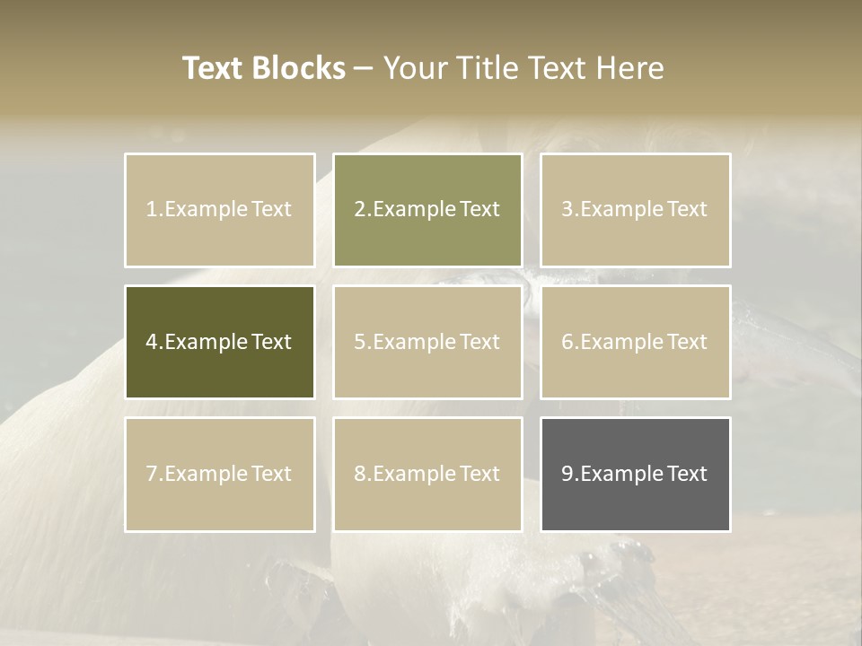 An Adult Female Polar Bear Emerging From The Water With A Fish PowerPoint Template